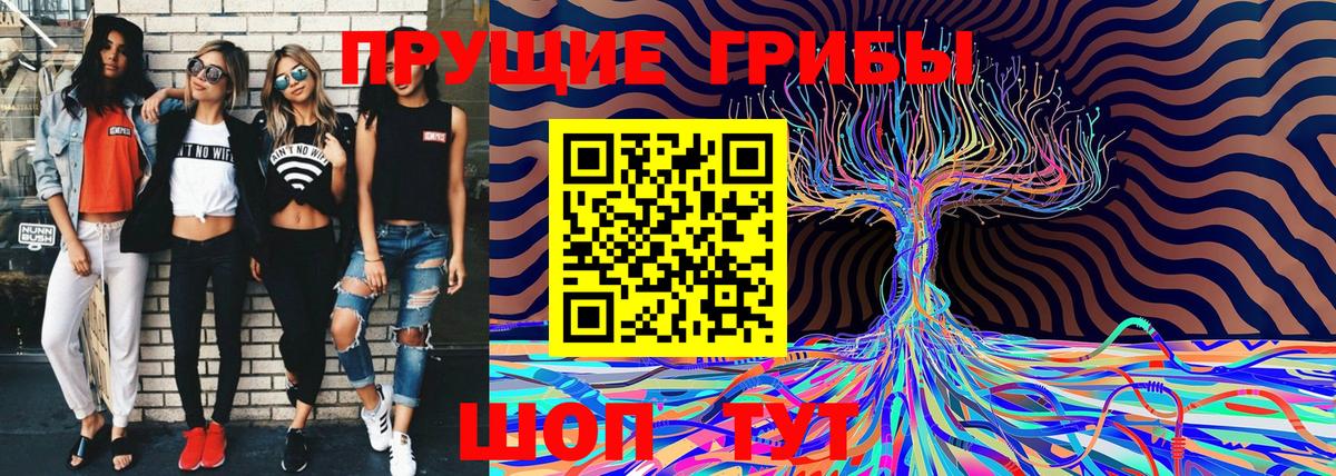Галлюциногенные грибы GOLDEN TEACHER  Галлюциногенные грибы GOLDEN TEACHER  Сыктывкар  Вход с VPN 
